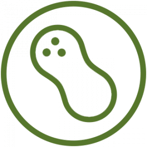 5. Peanuts